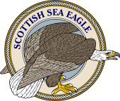 Birds of Prey Clipart image: Scottish Sea Eagle-M