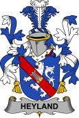 Irish Coat of Arms for Heyland