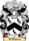 English or Welsh Family Coat of Arms (v.23) for Williams