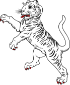 Bengal Tiger