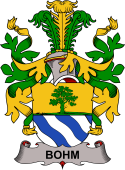 Swedish Coat of Arms for Bohm