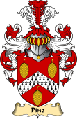 English Coat of Arms (v.23) for the family Pine or Pyne