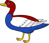 Duck (Sheldrake)