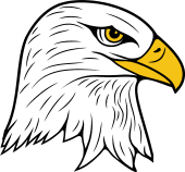 Birds of Prey Clipart image: Bald Eagle Head