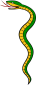 Serpent Torqued Erect in Pale, or Erect Vavy