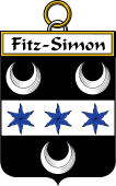 Irish Badge for Fitz-Simon