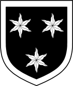 English Family Shield for Stoddart