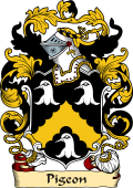 English or Welsh Family Coat of Arms (v.23) for Pigeon (Norfolk)