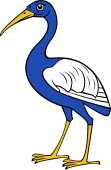 Ibis