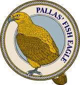 Pallas' Fish Eagle-M