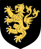 Irish Family Shield for King (Roscommon)