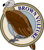 Birds of Prey Clipart image: Brown Vulture of Egypt-M