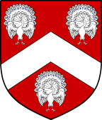 English Family Shield for Peacock II