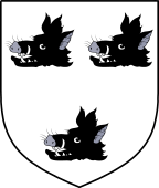 English Family Shield for Reading or Reding