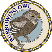 Burrowing Owl-M