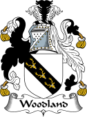 English Coat of Arms for the family Woodland