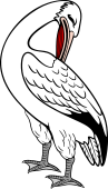 Pelican Dormant