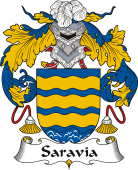 Spanish Coat of Arms for Saravia