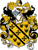 English or Welsh Coat of Arms for Vale (Worcester)