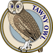 Tawny Owl-M