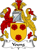 English Coat of Arms for the family Young I