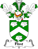 Coat of Arms from Scotland for Flint