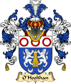 Irish Family Coat of Arms (v.25a) O'Holohan or Hoolihan
