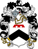English or Welsh Coat of Arms for Prideaux