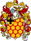 English or Welsh Coat of Arms for Washburne (or Washborne)