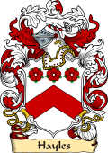 English or Welsh Family Coat of Arms (v.23) for Hayles (Ref Berry)
