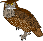 Great Horned Owl