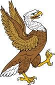 Eagle