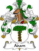 German Wappen Coat of Arms for Adam