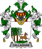 Irish Family Coat of Arms (v.25b) Callaghan or O'Callaghan