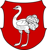 German Family Shield for Straus