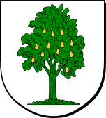 Spanish Family Shield for Peral