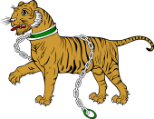 Tiger Passant Collared and Chained