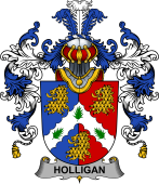Irish Family Coat of Arms (v.25b) Holligan or O'Halligan
