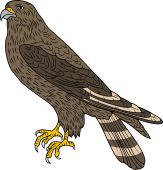 Birds of Prey Clipart image: Merlin Falcon (Female)