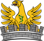 Family crest from Ireland for Mackesy (Kilkenny)