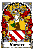 German Wappen Coat of Arms Bookplate for Forster