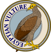 Birds of Prey Clipart image: Egyptian Vulture-M