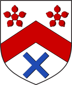 Scottish Family Shield for Agnew