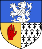 Irish Family Shield for MacEvoy (Meath)