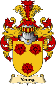 English Coat of Arms (v.23) for the family Young I