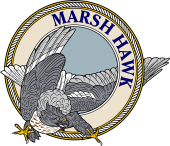 Birds of Prey Clipart image: American Marsch Hawk-M