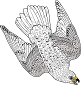Birds of Prey Clipart image: Iceland Falcon (Diving)