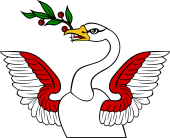 Demi Swan Wings Displ-Laurel Branch