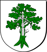 Spanish Family Shield for Arquer