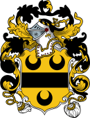 English or Welsh Coat of Arms for Rochester
